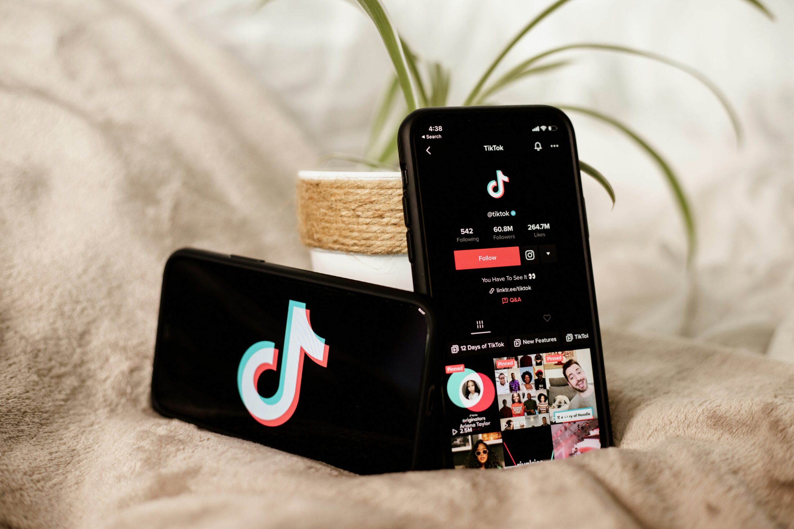 collabstr 0Vk7HEjWLDE unsplash